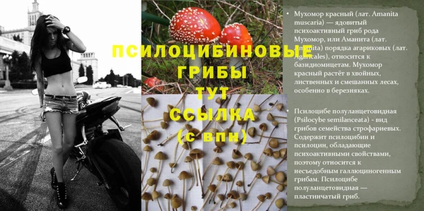 герыч Богородск