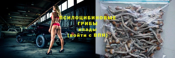 ECSTASY Белокуриха